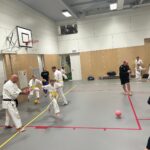 Karate Hyoshi Afsluiting 2024