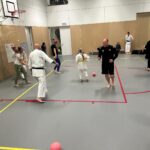 Karate Hyoshi Afsluiting 2024