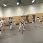 Stage training onderleiding van Erik & Jelle Knoop Thema Kaibo ( korte stok )