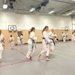 Stage training onderleiding van Erik & Jelle Knoop Thema Kaibo ( korte stok )