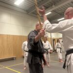 Stage training onderleiding van Erik & Jelle Knoop Thema Kaibo ( korte stok )