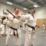 Stage training onderleiding van Erik & Jelle Knoop Thema Kaibo ( korte stok )