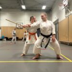 Stage training onderleiding van Erik & Jelle Knoop Thema Kaibo ( korte stok )