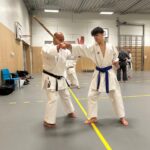 Stage training onderleiding van Erik & Jelle Knoop Thema Kaibo ( korte stok )