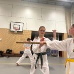 Stage training onderleiding van Erik & Jelle Knoop Thema Kaibo ( korte stok )