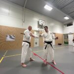 Stage training onderleiding van Erik & Jelle Knoop Thema Kaibo ( korte stok )