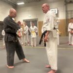 Stage training onderleiding van Erik & Jelle Knoop Thema Kaibo ( korte stok )