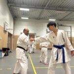 Stage training onderleiding van Erik & Jelle Knoop Thema Kaibo ( korte stok )