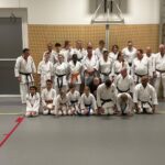 Stage training onderleiding van Erik & Jelle Knoop Thema Kaibo ( korte stok )